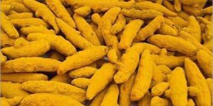 Turmeric Finger