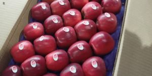Suppliers of High Quality Apples from Kashmir