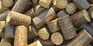 Biomass Briquettes
