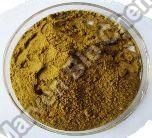 Gymnema Sylvestre Powder & Extracts
