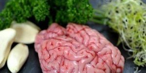 Fresh Mutton Brain