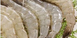 Fresh White Prawns