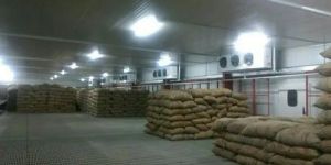 Cold Room Rental Services