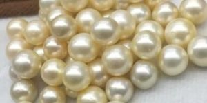 Australian South Sea Pearl