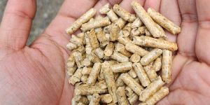 Pinewood Pellet