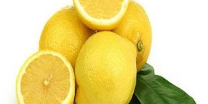 Fresh Lemon