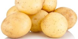 Fresh Potato