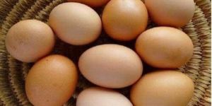 Desi Eggs