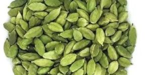 Green Cardamom
