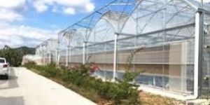 Greenhouse Design Services