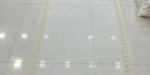 Lucknowi Georgette Dupatta