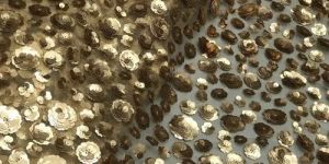 Sequin Fabric