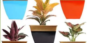 Multicolor Tapered Planter