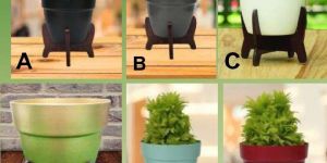 Pot with Wooden Stand