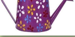 Printed Watering Can