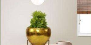Shining Pot with Stand
