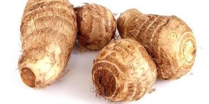 Fresh Taro Root