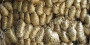 Raw Jute