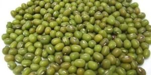 Moong Seeds