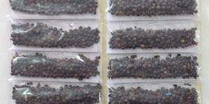 Black Pepper 20pc Blister Sheet