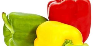 Color Capsicum