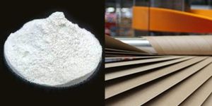 Paper Tube Gum Powder