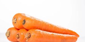 Fresh Carrots