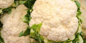 Fresh Cauliflower
