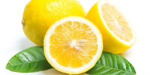 Fresh Lemon