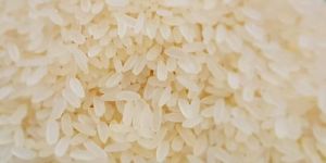 Swarna Parboiled 25% Broken Non Basmati Rice