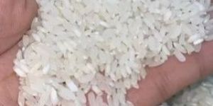 Swarna Raw 25% Broken Non Basmati Rice