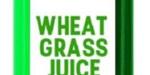 Wheat Grass Juice