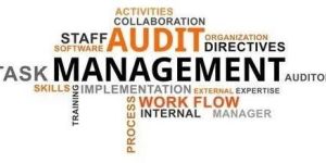 Management Auditing