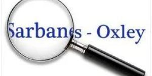 Sarbanes-Oxley and Clause 49 Related Services