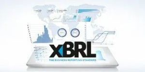 XBRL Data Conversion Services