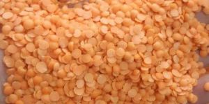 Red Lentils