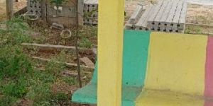 Cement Dragon Fruet Poll Project