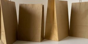 Kraft Bag