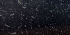 Black Pearl Granite
