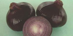 Hybrid Black Onion Seeds