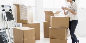 Domestic Shifting Services