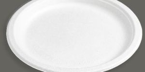 9 Inch Round Bagasse Plate