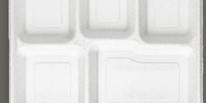 9 Inch Square Bagasse Plate