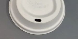 90mm Bagasse Lid