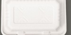 Rectangular Clamshell Takeaway Box