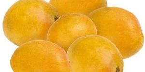 Fresh Badami Mango