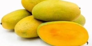 Fresh Dasheri Mango