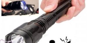 Flashlight Stun Gun