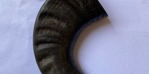 Dog Chew Water Buffalo Horn