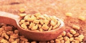 Fenugreek Seeds